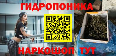 гашиш Ачхой-Мартан